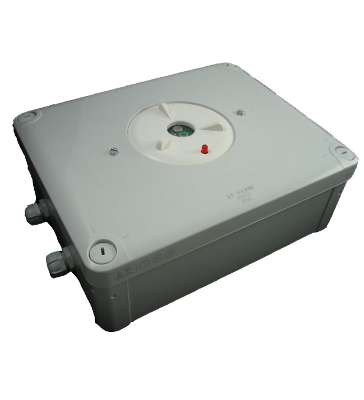 Detector de flacără cu infraroşu IRY2+IP65